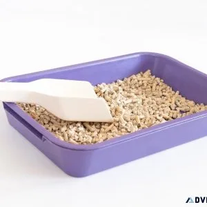 Purchase cat litter from the Pawrulz online store in India.