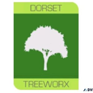 Dorchester Tree Surgeon - Dorset Treeworx Ltd
