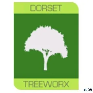 Dorchester Tree Surgeon - Dorset Treeworx Ltd