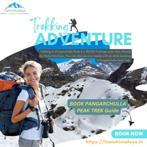 Pangarchulla peak | pangarchulla peak trek package