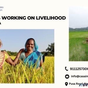 Best NGOs Working on Livelihood with CASA India