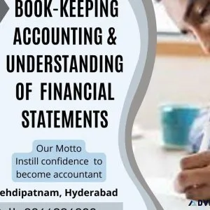 Professional Accountant Book-Keeping and Accounting