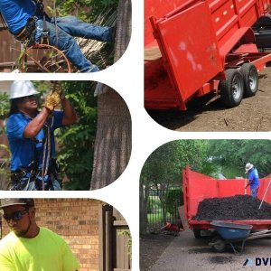 FAMILY TREE SERVICE