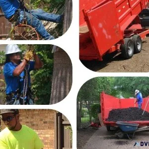 FAMILY TREE SERVICE