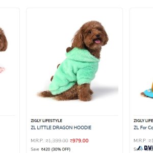 Cozy and Warm Dog Sweatshirts and Sweaters for Stylish Pets