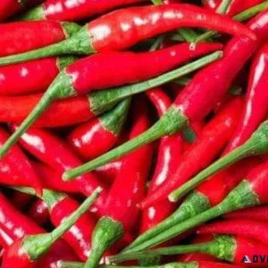 BULK RED ABE and RED HABANERO
