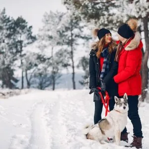 Kullu manali honeymoon packages