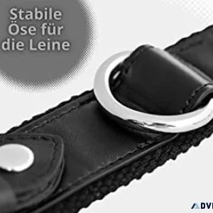 GPS-Hundehalsband aus Leder