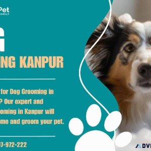 Dog Grooming Services in Kanpur