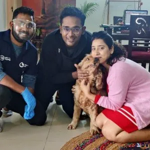 International Pet Relocation Service in India