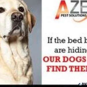 K-9 Bed Bug Inspections