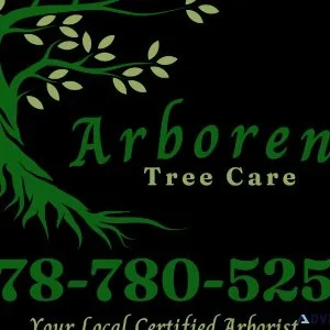 Tree Removal And Pruning Service