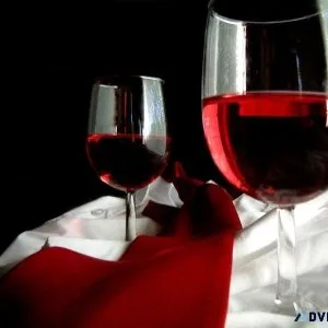 &quotRaise Your Glass to  Where Tradition Meets Innovation&quot