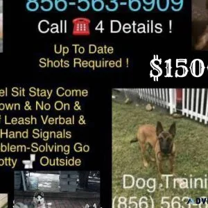 Complete Dog Control allll