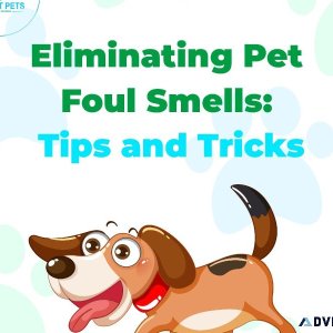 Keep your pup looking pristine