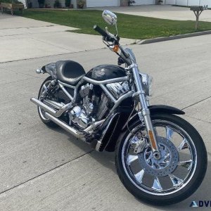 2009 VRSCAW V-Rod