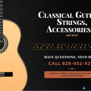 Choice Nylon String Guitars and Accessories  All Strings Nylon