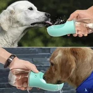 Pet supplies as cheap as &pound1 1