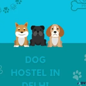 Dog Hostel in Delhi
