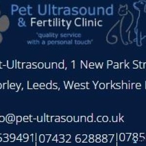 Contact us for Pet-Ultrasound Scanning
