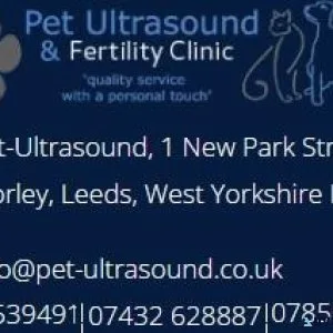 Contact us for Pet-Ultrasound Scanning
