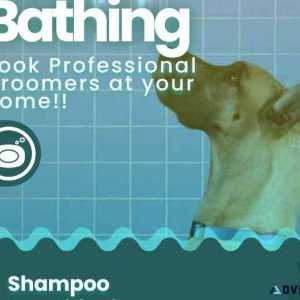 Dog Grooming Services in Bangalore - Mr n Mrs Pet