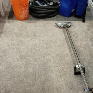 Carpet and Upholstery Cleaning