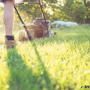 Lawn Mower Blade Sharpening and Yard Tool Maintenance