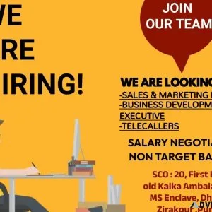 Mass Hiring
