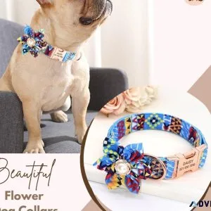 Exquisite Floral Dog Collars for Your Beloved Pet  By CurliTail