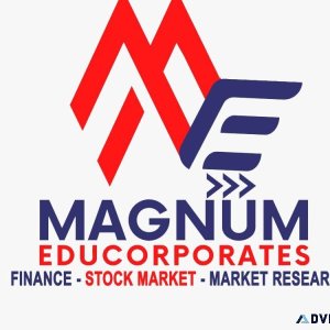 Best Stock Market Institute in India- Magnum Educorporates