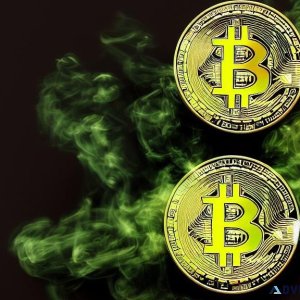 Software to win bitcoins without paying anything.
