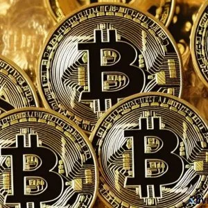 Use free software to win bitcoins without any financial risk.