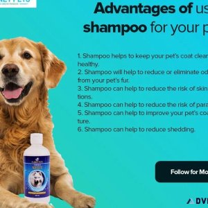 Give your black dog the planet pet spa treatment