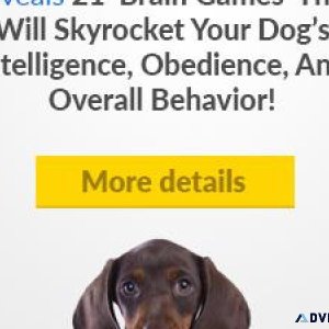 Brain Training for Dogs - Unique Dog Training Course