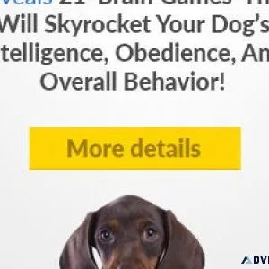 Brain Training for Dogs - Unique Dog Training Course