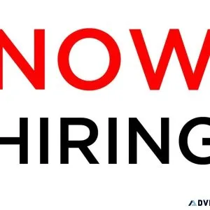 Entry Level Office Clerk