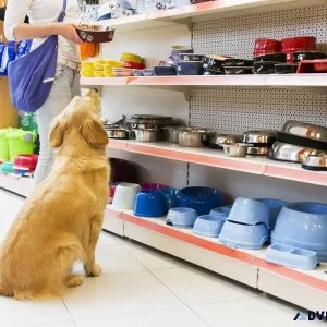 THE BEST PETS STORE