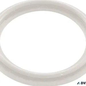 Waterway Plastics 2&Prime Heater O-RingGasket