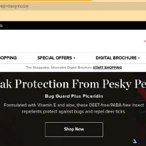 Think Big Earn Big