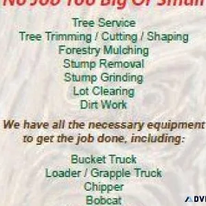 TREE REMOVAL STUMP GRINDING FORESTRY MULCHING DIRT WORK