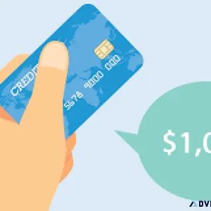 INPUT YOUR INFORMATION TO GET A 1000 CREDIT LINE NOW