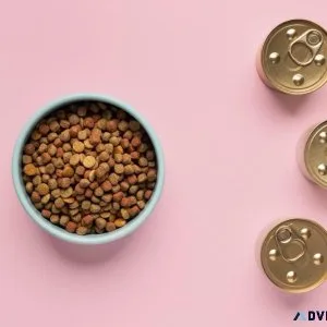 Buy Creamy Treats For Cats Online in India 2023 - Pawrulz