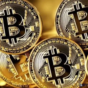 Utilize free software to win bitcoins without any investment.