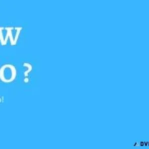 Top SEO Job Opportunities in Lucknow Apply Now