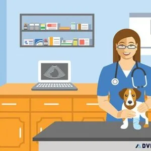 Best Veterinary Care Clinic in Sector 137 Noida