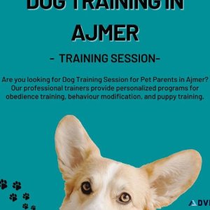 Dog Trainer in Ajmer