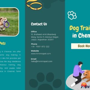 Professional Dog Training in Chennai