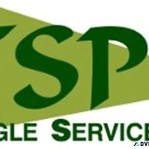 Affordable stump grinding
