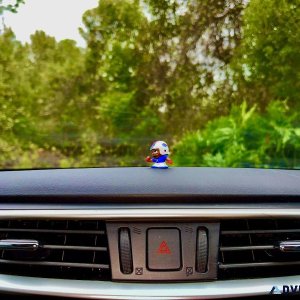 NFL Buffalo Bills Car Dashboard Buddy Pipsqueak Player